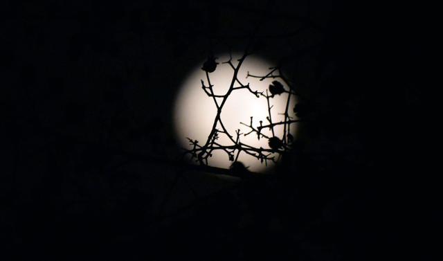A supermoon pictured in Abidjan. (Sia Kambou/AFP) A supermoon pictured in Abidjan. (Sia Kambou/AFP)