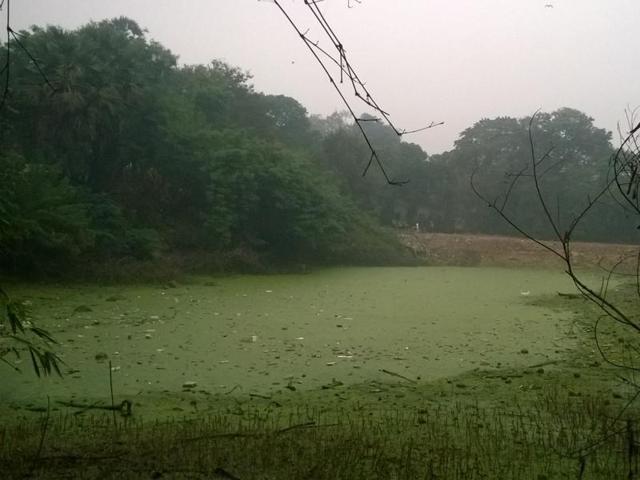 Environmentalists said the navy station had been dumping garbage, including non-biodegradable material, like thermocol and polystyrene packing from their establishment, some of which is still floating on the surface of the pond identified as ‘Nausena Baug Lake’. (HT PHOTO) Environmentalists said the navy station had been dumping garbage, including non-biodegradable material, like thermocol and polystyrene packing from their establishment, some of which is still floating on the surface of the pond identified as ‘Nausena Baug Lake’. (HT PHOTO)