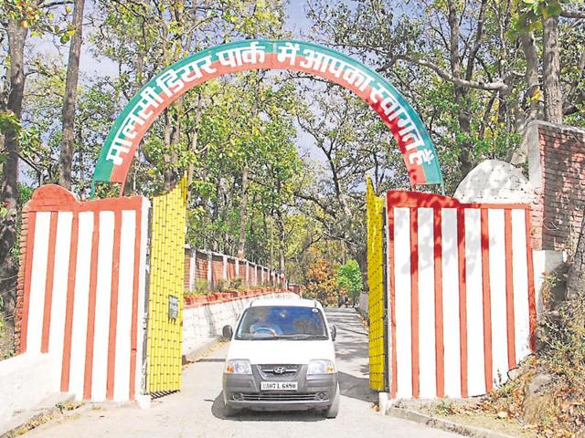 Uttarakhand government announces rates for adoption of wild animals at Dehradun’s Malsi Deer Park (HT Photo) Uttarakhand government announces rates for adoption of wild animals at Dehradun’s Malsi Deer Park (HT Photo)