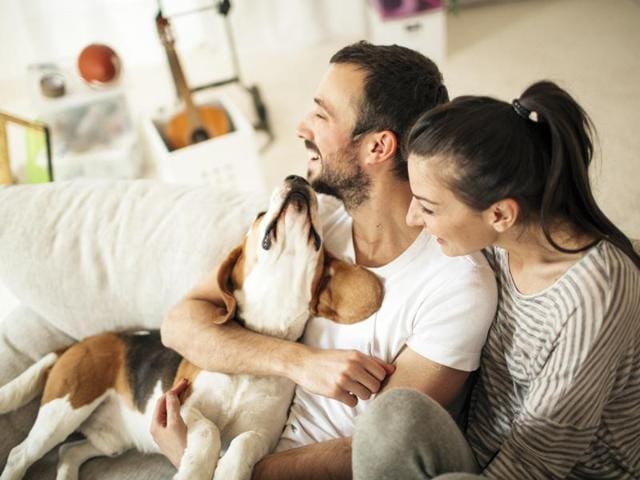 Air purifiers help curb the level of pollutants inside your house.(Getty Images)