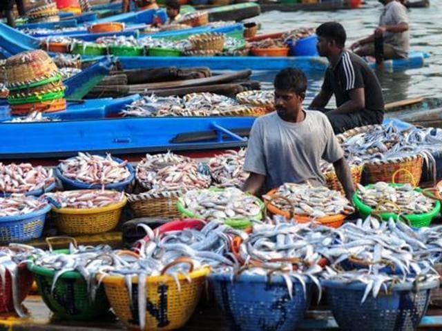 Sri Lankan accuses Indian fishermen of entering its territorial waters. While fishermen are released after sometime, their boats are confiscated, dealing a blow to their livelihood. (AFP File Photo) Sri Lankan accuses Indian fishermen of entering its territorial waters. While fishermen are released after sometime, their boats are confiscated, dealing a blow to their livelihood. (AFP File Photo)