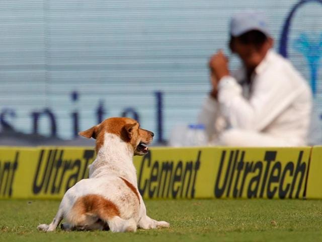 England's captain Alastair Cook (eft) and teammate Jonny Bairstow watch a dog running into the field on the first day of their second cricket test match against India in Visakhapatnam. (AP) England's captain Alastair Cook (eft) and teammate Jonny Bairstow watch a dog running into the field on the first day of their second cricket test match against India in Visakhapatnam. (AP)