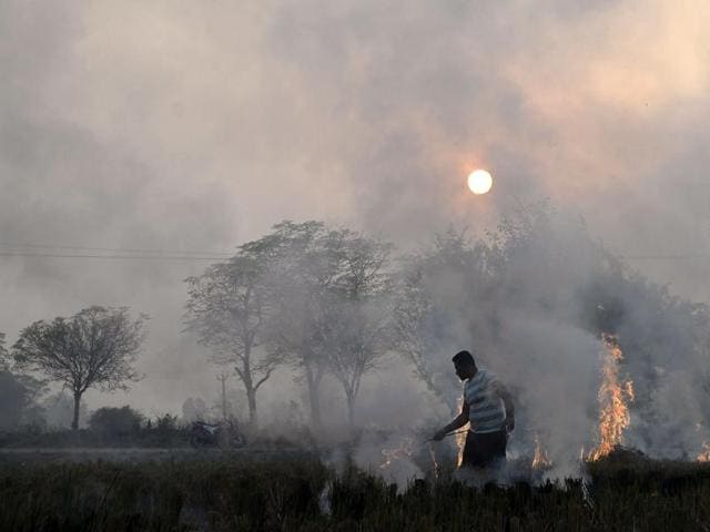 In this photograph taken on November 8, a farmer burns paddy stubble in a field on the outskirts of Jalandhar.(AFP Photo)