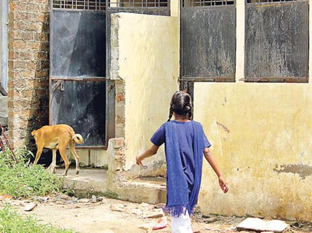 Construction of toilets improved participation in education in India, particularly for girls, says an international study. (File study) Construction of toilets improved participation in education in India, particularly for girls, says an international study. (File study)
