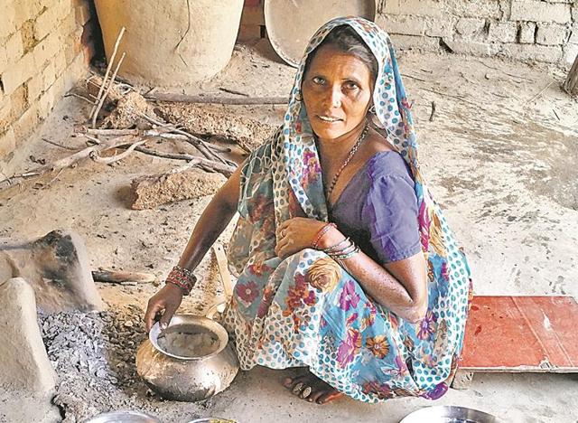 Some villagers have been compromising with their eating habits, shunning vegetables and managing with roti-chutney only.(HT Photo)