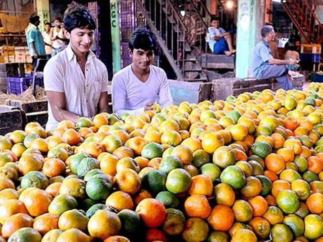 Oranges of in Darjeeling, Sikkim, Assam, Meghalaya and Manipur are similar with tight skin, excellent quality, flavour and juice that is different from the varieties cultivated in other states such as Maharashtra, Madhya Pradesh, Rajasthan and Karnataka.(File picture)