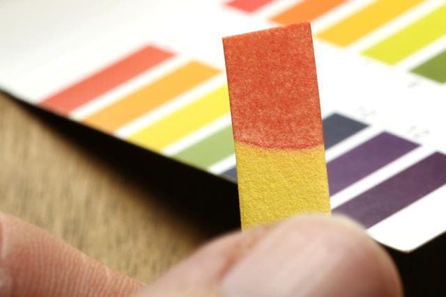 Th saliva test uses the dipstick technique to diagnose kidney diseases. (Shutterstock) Th saliva test uses the dipstick technique to diagnose kidney diseases. (Shutterstock)