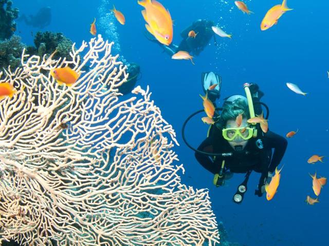 The world’s largest coral reef system, is located in the Coral Sea, off the coast of Queensland, Australia. (AFP) 