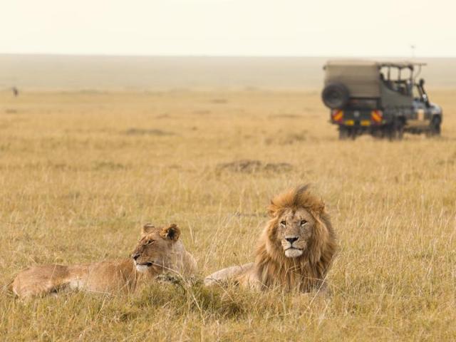 South Africa is the land of national parks and safaris. Kruger is famous throughout the world but there many other reserves worth trying such as Sabi Sands, Manyeleti, Timbavati, Balule and Thornybush.  (AFP) 