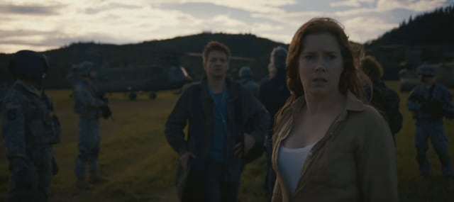 Amy Adams will probably be nominated for an Oscar.