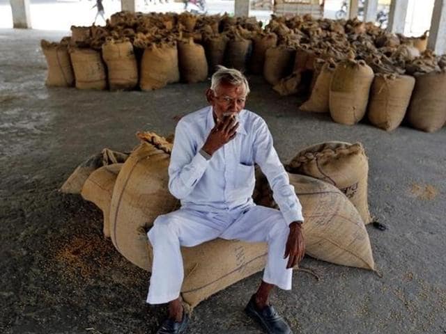 A farmer sits on sacks of paddy crops as he waits for customers after the government withdrew the circulation of high denomination banknotes, in Sanand village on the outskirts of Ahmedabad.(Reuters Photo)
