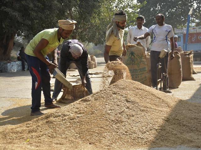 Farmers are unable to buy fertilizer to sow wheat in winter. (Sakib Ali/HT Photo) Farmers are unable to buy fertilizer to sow wheat in winter. (Sakib Ali/HT Photo)