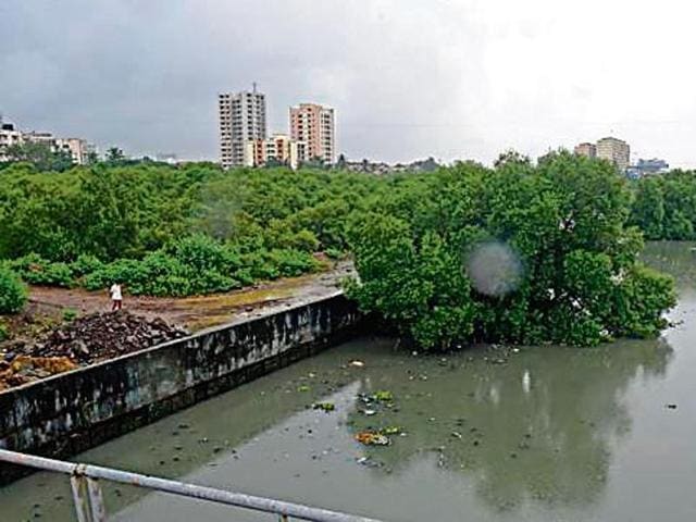 The agencies have been asked to explain whether they were aware about the environmental violations committed by the house owners, or not.(Representational photo)