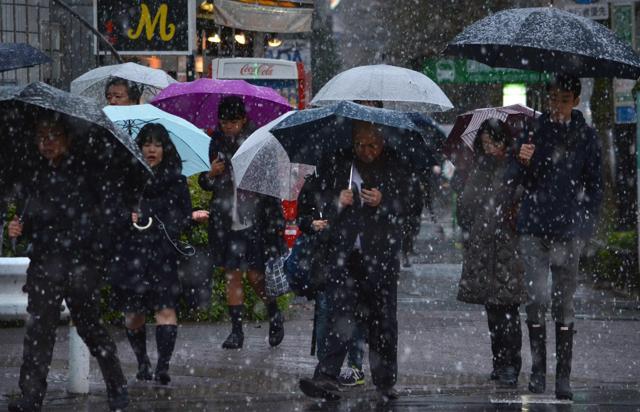 Pedestrians head to work in snowfall during the early morning hours in Tokyo. (AFP Photo) Pedestrians head to work in snowfall during the early morning hours in Tokyo. (AFP Photo)