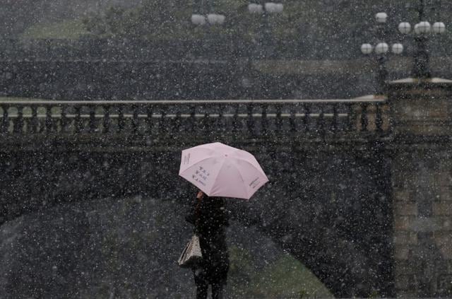 Snow Falls in Tokyo for the First Time in November Since 1962