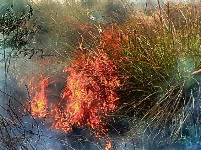 Greater Nodia residents can file a complaint about open garbage burning in their locality on helpline number 0120-2326335.(HT Photo)