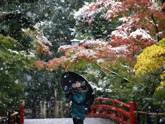 A visitor takes a photo in the snow at the Tsurugaoka Hachimangu Shrine. (AP Photo) 