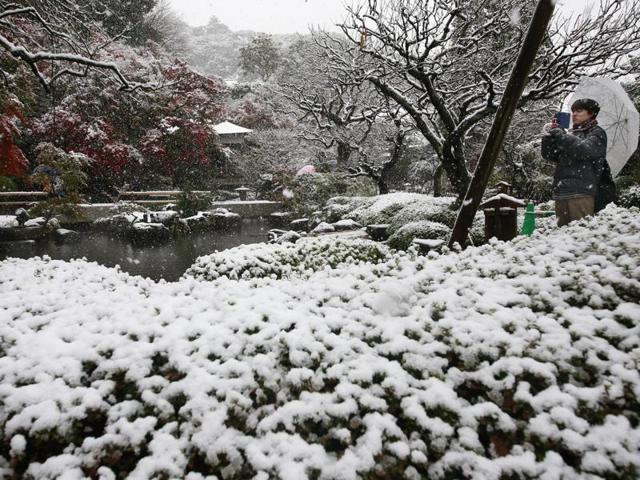 A visitor takes a photo in the snow at the Hase temple in Kamakura. (AP Photo) 
