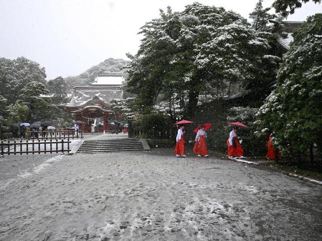Shrine maidens walk in the snow at the Tsurugaoka Hachimangu Shrine in Kamakura. (AP Photo) 
