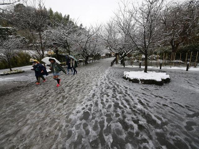 People walk in the snow at the Kenchoji temple in Kamakura, near Tokyo. (AP Photo) 