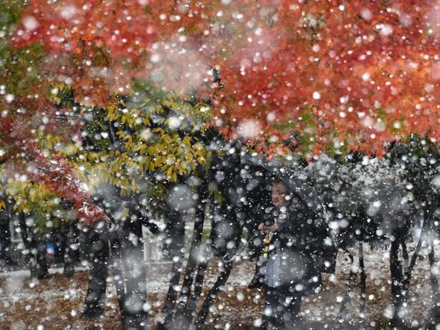 A photographer takes a picture in snowfall in Tokyo. (AFP Photo) 