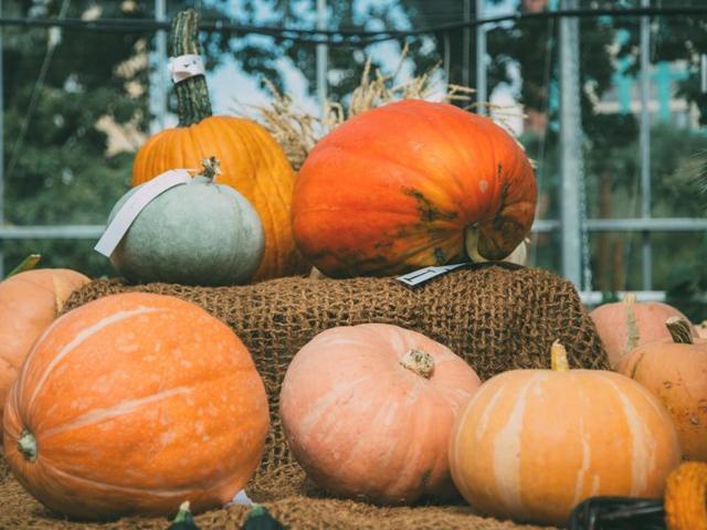 Sweet, orange-colored, autumn vegetables help protect the spleen.(Istock)