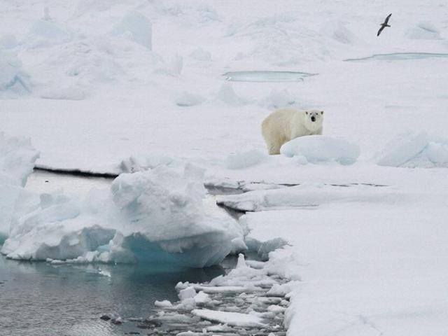 Climate tipping points are conditions beyond which changes in a part of the climate system become self-perpetuating. (AP File Photo) Climate tipping points are conditions beyond which changes in a part of the climate system become self-perpetuating. (AP File Photo)