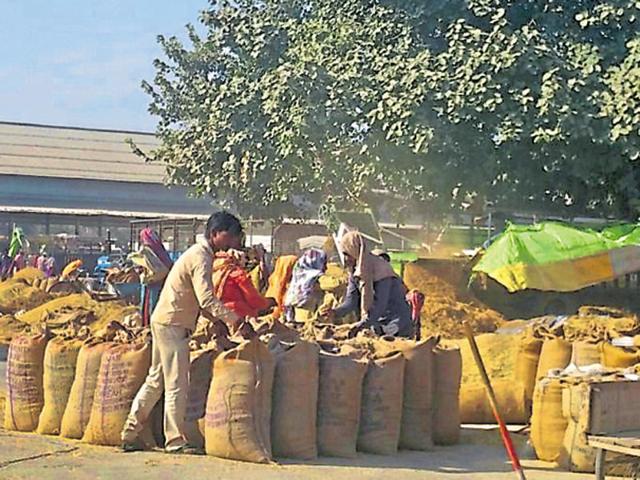 The grain market in Nabha.(HT File Photo) The grain market in Nabha.(HT File Photo)