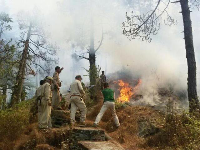 Forest department officials say the fire might have been ignited by poachers.(HT File Photo)