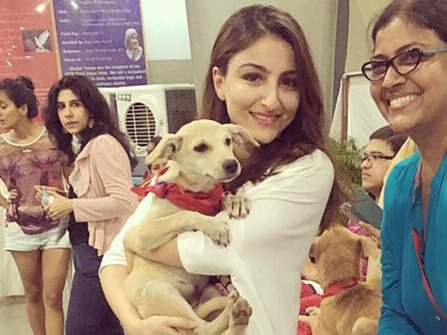 Saif, Alia, Soha and more stars help to find home for adorable animals | Bollywood - Hindustan Times Saif, Alia, Soha and more stars help to find home for adorable animals | Bollywood - Hindustan Times