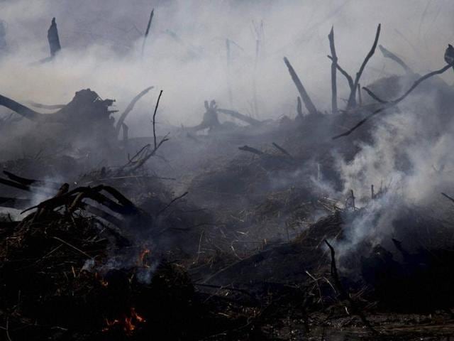 A fire still smolders after a forest fire near Hadera, Israel, Sunday, Nov. 27, 2016. After several days of extended fires that caused major damage in northern Israel and in the Jerusalem area, firefighters have managed to quickly gain control of most of the blazes that have erupted since.(AP) A fire still smolders after a forest fire near Hadera, Israel, Sunday, Nov. 27, 2016. After several days of extended fires that caused major damage in northern Israel and in the Jerusalem area, firefighters have managed to quickly gain control of most of the blazes that have erupted since.(AP)