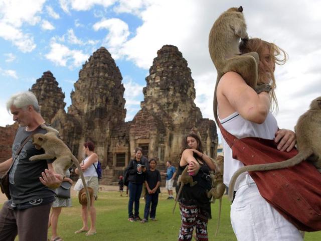 Monkeys jump up onto tourists at an ancient temple during the annual "monkey buffet" in Bangkok. (AFP)