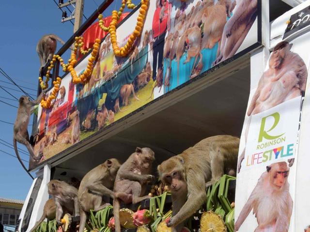Monkeys enjoy a veggie fest during the annual "monkey buffet" in Lopburi province, north of Bangkok on November 27. (AFP)