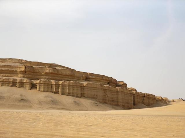 Once home to the fennec fox and Rüppell’s fox, both these species are scarce now. The general view of a desert in Wadi el-Rayan Fayoum, Egypt. (REUTERS) Once home to the fennec fox and Rüppell’s fox, both these species are scarce now. The general view of a desert in Wadi el-Rayan Fayoum, Egypt. (REUTERS)