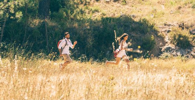 Exposure to sunlight increases vitamin D levels.