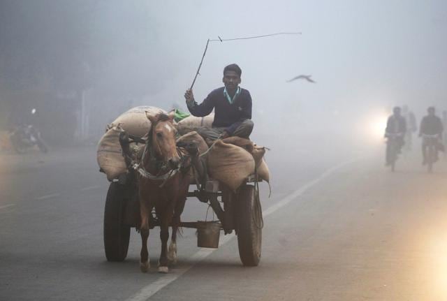 A man transports sacks of rice in a horse-drawn cart amid the heavy fog in Allahabad on December 2. (REUTERS) A man transports sacks of rice in a horse-drawn cart amid the heavy fog in Allahabad on December 2. (REUTERS)
