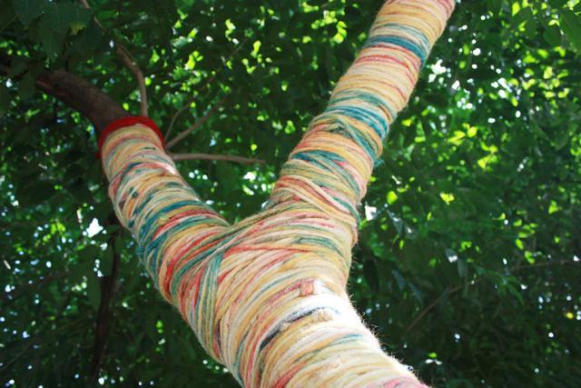 A tree that has been wrapped in yarn. The idea behind yarn bombing is to reclaim public spaces.