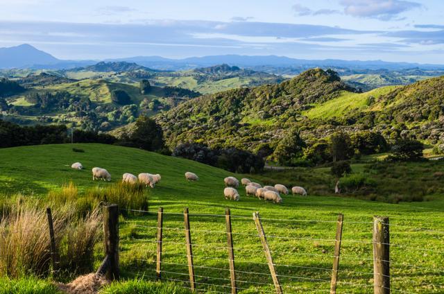 New Zealand offers a variety of landscapes -- lush green forests to soaring mountains. (Shutterstock) New Zealand offers a variety of landscapes -- lush green forests to soaring mountains. (Shutterstock)