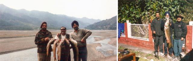 The late IPS Mann, Capt Manshahia and Gill with mahseer catch on the river Giri in 1997; and (right) Mann, Gill and Capt Manshahia at Jaton barrage with a huge mahseer in 2005. (SOHAN LAL) The late IPS Mann, Capt Manshahia and Gill with mahseer catch on the river Giri in 1997; and (right) Mann, Gill and Capt Manshahia at Jaton barrage with a huge mahseer in 2005. (SOHAN LAL)