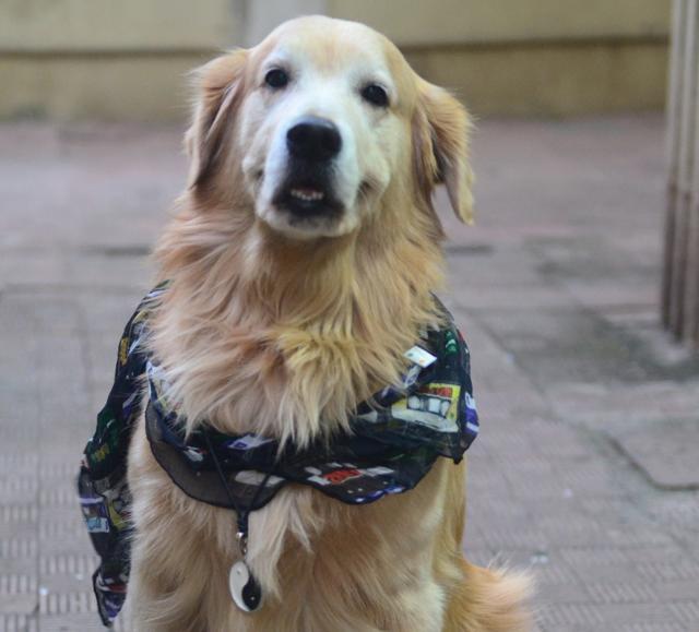 Zizou goes the hippie way with this fun scarf and yin-yang locket. (Suvajeet Dutta- Gupta)