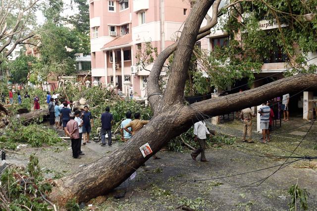 Residents look at the uprooted trees, hanging telephone lines in a residential area in Chennai. (PTI) Residents look at the uprooted trees, hanging telephone lines in a residential area in Chennai. (PTI)