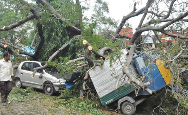 Damage after Cyclone Vardah in Chennai. (V. Srinivasulu / HT Photo) Damage after Cyclone Vardah in Chennai. (V. Srinivasulu / HT Photo)