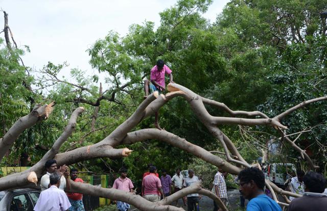 Around 200 students of Ramakrishna Mission Home also joined in on the effort. (V. Srinivasulu / HT Photo) Around 200 students of Ramakrishna Mission Home also joined in on the effort. (V. Srinivasulu / HT Photo)