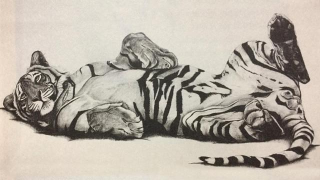 A book about the very best of Valmik Thapar’s encounters with one of the most magnificent animals to walk the face of the planet. (Rose Corcoran)