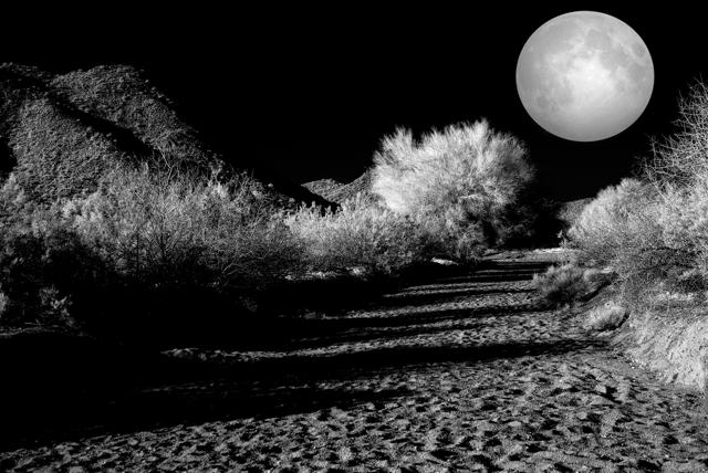 Explore the beauty that is Tucson. (Shutterstock) Explore the beauty that is Tucson. (Shutterstock)