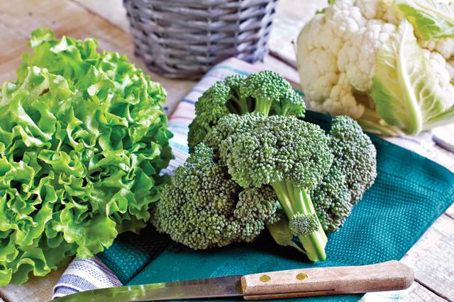 Veggies like broccoli, cauliflower and lettuce when consumed raw become calorie-negative (Shutterstock) Veggies like broccoli, cauliflower and lettuce when consumed raw become calorie-negative (Shutterstock)