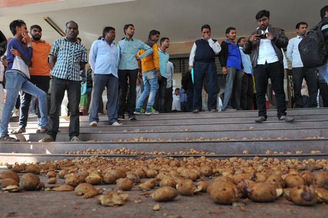 Potatoes dumped on the floor of collector’s office in Indore on Friday. (Shankar Mourya/ HT photo) Potatoes dumped on the floor of collector’s office in Indore on Friday. (Shankar Mourya/ HT photo)