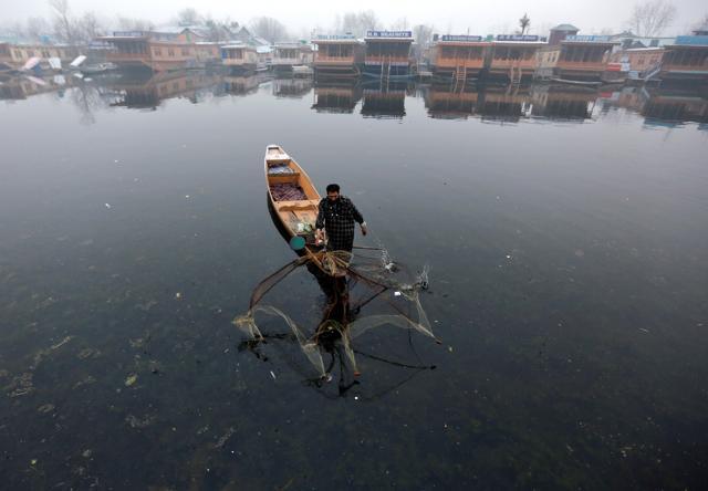 A fisherman casts his net to catch fish in the waters of Dal Lake. (Reuters File Photo) A fisherman casts his net to catch fish in the waters of Dal Lake. (Reuters File Photo)