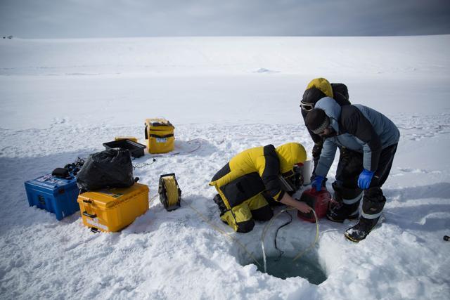 Scientists operating a remote underwater camera through a hole in the ice at O'Brien Bay near Australia's Antarctic Casey research station. (AFP Photo) Scientists operating a remote underwater camera through a hole in the ice at O'Brien Bay near Australia's Antarctic Casey research station. (AFP Photo)