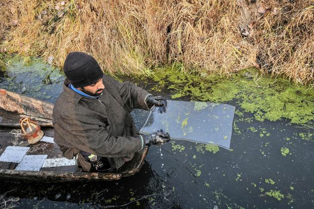 A boatman shows an ice slab broken from a frozen part of Dal Lake in Srinagar. (Waseem Andrabi/HT photo) A boatman shows an ice slab broken from a frozen part of Dal Lake in Srinagar. (Waseem Andrabi/HT photo)